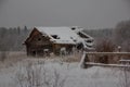 Farm in the forest. Winter in Karelia