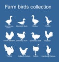 Farm fowl birds collection vector silhouette illustration isolated on blue background. Domestic poultry Royalty Free Stock Photo