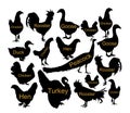 Farm fowl birds collection vector silhouette illustration isolated on white background. Royalty Free Stock Photo