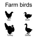 Farm fowl birds vector silhouette illustration isolated on white background. Domestic poultry: Turkey, goose, hen chicken, duck. Royalty Free Stock Photo