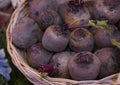 Farm Fresh Beets in a basket. Royalty Free Stock Photo