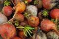 Farm fresh beets Royalty Free Stock Photo