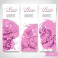 Farm fresh berries banners. Hand drawn branches with berries. Black currant, gooseberries and rose hip