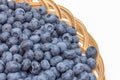 Farm fresh blueberries in a basket Royalty Free Stock Photo