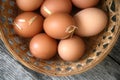 Farm Fresh Brown Eggs in Basket with Straw, Gathering Rustic Farmhouse Countryside Vintage Homestead Royalty Free Stock Photo