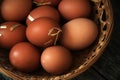 Farm Fresh Brown Eggs in Basket with Straw, Gathering Rustic Farmhouse Countryside Vintage Homestead Royalty Free Stock Photo