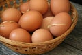 Farm Fresh Brown Eggs in Basket with Straw, Gathering Rustic Farmhouse Countryside Vintage Homestead Royalty Free Stock Photo