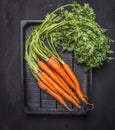 Farm fresh carrots in a wooden box wooden rustic background top view close up Royalty Free Stock Photo