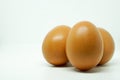 farm fresh chicken eggs. Royalty Free Stock Photo