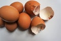 Farm fresh chicken eggs and used eggshells Royalty Free Stock Photo