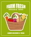 Farm fresh design Royalty Free Stock Photo