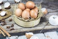 Farm fresh egg Royalty Free Stock Photo