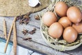 Farm fresh egg Royalty Free Stock Photo