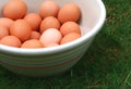 Farm Fresh Eggs Royalty Free Stock Photo