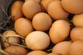 Farm fresh eggs in basket Royalty Free Stock Photo