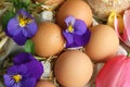 Farm Fresh Eggs, Chicken, Flowers, Countryside Farm Product, Homestead, Marigold,Homesteading, Farming. Royalty Free Stock Photo