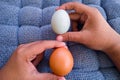 Farm Fresh Eggs: Contrasting Duck and Chicken Eggs Held by Hands. Royalty Free Stock Photo