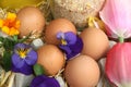 Farm Fresh Eggs, Chicken, Flowers, Countryside Farm Product, Homestead, Marigold,Homesteading, Farming. Royalty Free Stock Photo