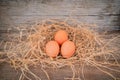 Farm fresh eggs placed on the wooden floor and the straw of the hen nest. Royalty Free Stock Photo