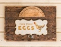 Farm fresh eggs Royalty Free Stock Photo
