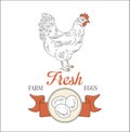 Farm Fresh Eggs. Vector Illustration Royalty Free Stock Photo
