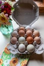 Farm Fresh free range organic dozen rainbow chicken eggs on display in unique octagonal recyclable container top view Royalty Free Stock Photo