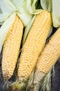 Farm fresh organic corn cob Royalty Free Stock Photo