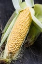 Farm fresh organic corn cob Royalty Free Stock Photo