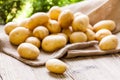 Farm fresh potatoes on a hessian sack Royalty Free Stock Photo