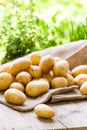 Farm fresh potatoes on a hessian sack Royalty Free Stock Photo