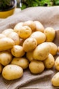 Farm fresh potatoes on a hessian sack Royalty Free Stock Photo