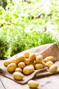 Farm fresh potatoes on a hessian sack Royalty Free Stock Photo