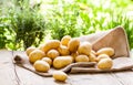 Farm fresh potatoes on a hessian sack Royalty Free Stock Photo