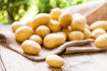 Farm fresh potatoes on a hessian sack Royalty Free Stock Photo