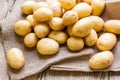 Farm fresh potatoes on a hessian sack Royalty Free Stock Photo