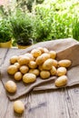 Farm fresh potatoes on a hessian sack Royalty Free Stock Photo