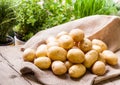 Farm fresh potatoes on a hessian sack Royalty Free Stock Photo