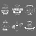 Farm Fresh Products Badge Set. Royalty Free Stock Photo