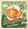 Farm fresh pumpkins retro poster design. Royalty Free Stock Photo