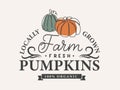 Farm fresh pumpkins vintage sign with pumpkin silhouette. Fall retro style typography Vector illustration Royalty Free Stock Photo