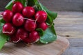 Farm fresh radish Royalty Free Stock Photo