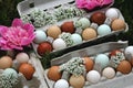 Farm Fresh Rainbow Colored Eggs From Local Farm Beautifully Decorated with Fresh Delicate Blooms and Flowers