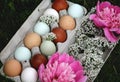 Farm Fresh Rainbow Colored Eggs From Local Farm Beautifully Decorated with Fresh Delicate Blooms and Flowers