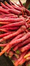 Farm fresh red  carrots from market Royalty Free Stock Photo