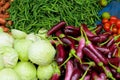 Farm fresh vegetables Royalty Free Stock Photo