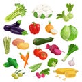 Farm fresh vegetables big set. Collection of veggies icons. Best for menu and package designs.