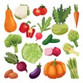 Farm fresh vegetables set. Vector flat cartoon illustration. Isolated broccoli, pumpkin, asparagus, artichoke, kohlrabi