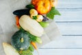 Farm fresh vegetables: zucchini, carrot, eggplant, cucumber, tomato, onion, pumpkin, dill and parsley on a wooden light table, top Royalty Free Stock Photo