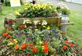 Farm garden display in Southport Royalty Free Stock Photo