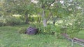 Farm garden in szekszÃÂ¡rd in early autumn